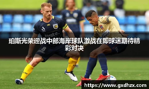 333体育官网